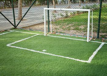 Çim Halısı Alırken Nelere Dikkat Etmelisiniz ?