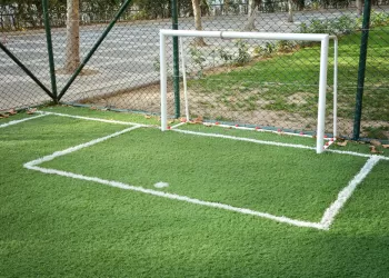 Çim Halısı Alırken Nelere Dikkat Etmelisiniz ?