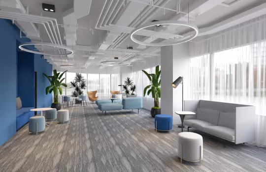 Duvardan Duvara Hali 6 1